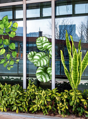 高级感绿色植物玻璃贴纸咖啡服装店橱窗氛围装饰彩绘树叶静电贴画