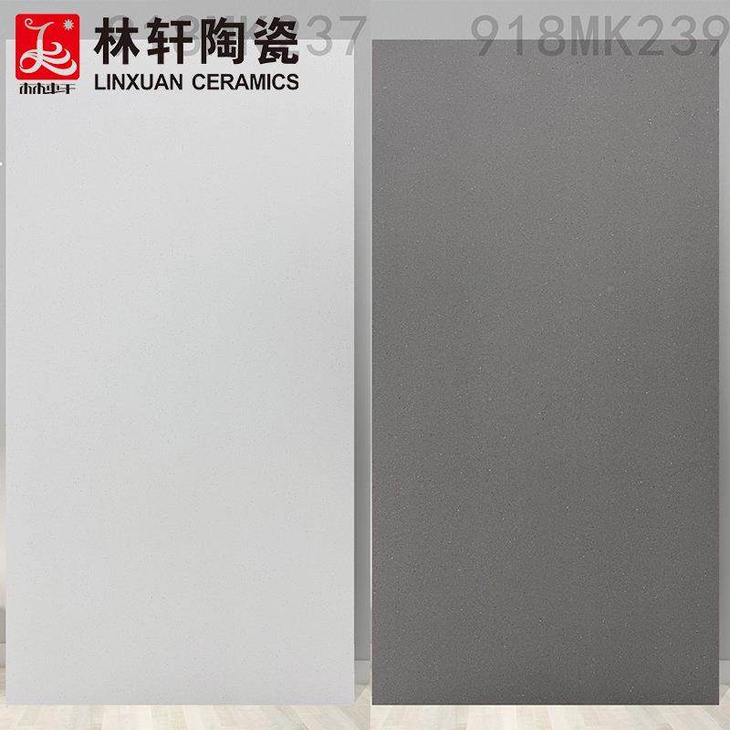 防现代简约灰90180色细干粒面水磨石砖瓷客厅污地板砖900大*1800,淘宝优惠券,粉丝福利购,淘宝优惠卷