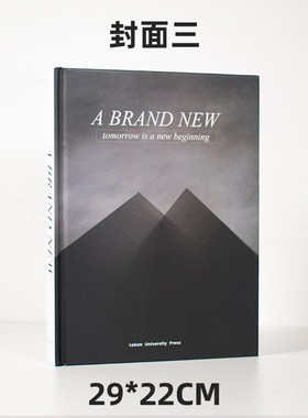 极简黑白灰精装外文组合装饰书A摆件现代样板房书柜英文书陈设家