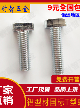 国标T型螺栓 T型螺丝 30/40系列M6M8工业铝型材配件1620-25-30-40