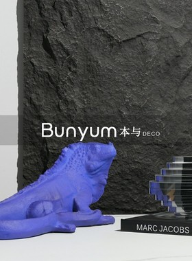 简约现代创意树脂l蜥蜴摆件酒店售楼处展厅样板房间软装饰品摆设