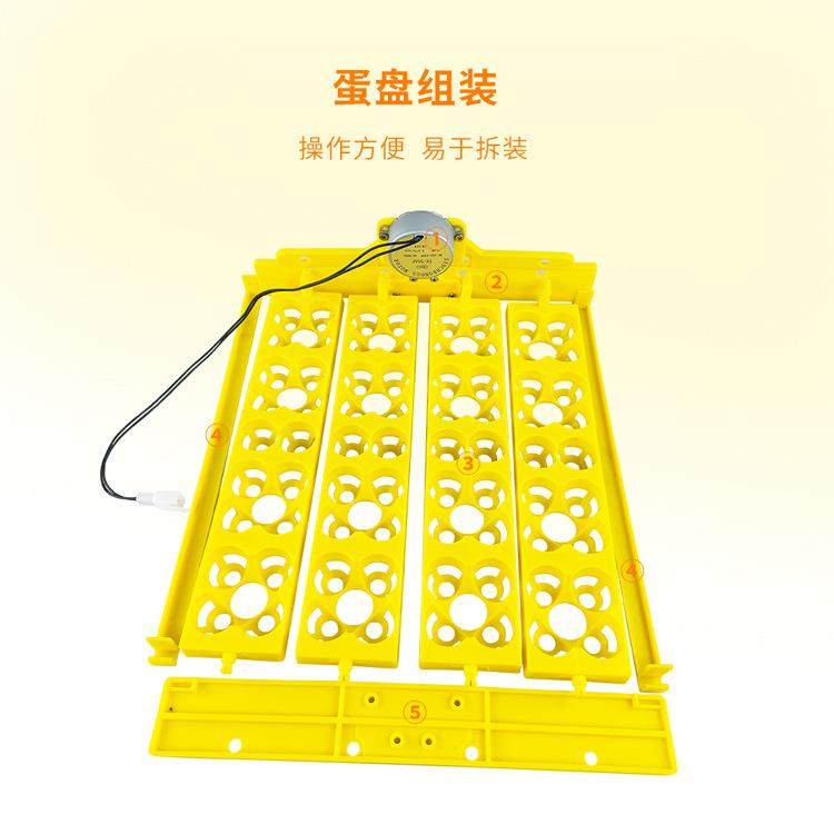 16枚四叶花多功能孵化机蛋盘72枚鹌鹑鸟蛋蛋托全自动孵化器鸡蛋盘,淘宝优惠券,粉丝福利购,淘宝优惠卷