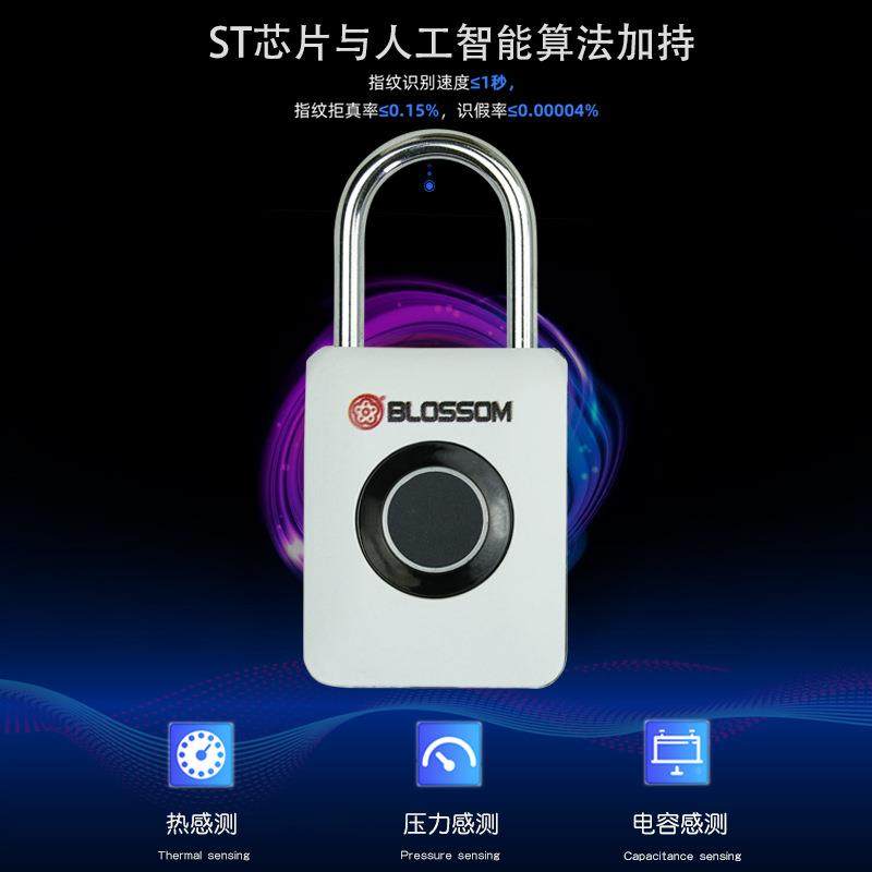 梅花指纹锁挂锁密指纹锁锁行李箱锁码屉ZW10抽锁,淘宝优惠券,粉丝福利购,淘宝优惠卷