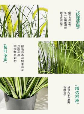 仿真狗尾巴草仿植绿植盆栽酒店造景仿真绿植办公室装饰摆件