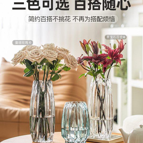 花瓶插花客厅高级感玻璃摆件轻奢透明水养百合矮款玫瑰宽口北欧小,淘宝优惠券,粉丝福利购,淘宝优惠卷