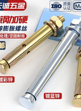 镀锌膨胀螺丝蓝白锌加长外膨胀螺栓拉爆螺丝膨胀管M6M8M10M12-M20