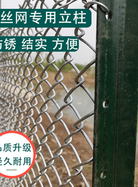 牛栏网铁丝网柱立柱铸铁三角实心柱尖头柱加厚养殖牛羊户外围栏网