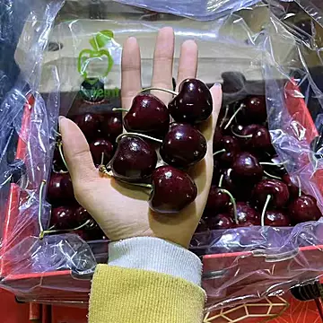 原箱礼盒进口车厘子新鲜水果2J5斤装[20元优惠券]-寻折猪