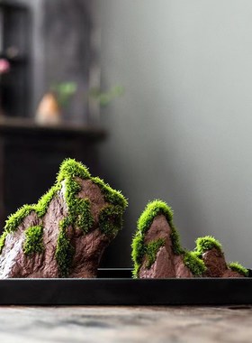 小鱼缸沉底摆件苔藓盆景t附石青苔摆件造景莫斯假山新款禅意水陆
