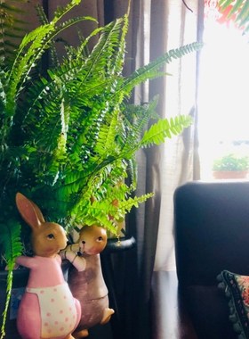 创意户外a可爱兔子花缸花盆挂件花园树脂装饰杂货摆件小动物装饰