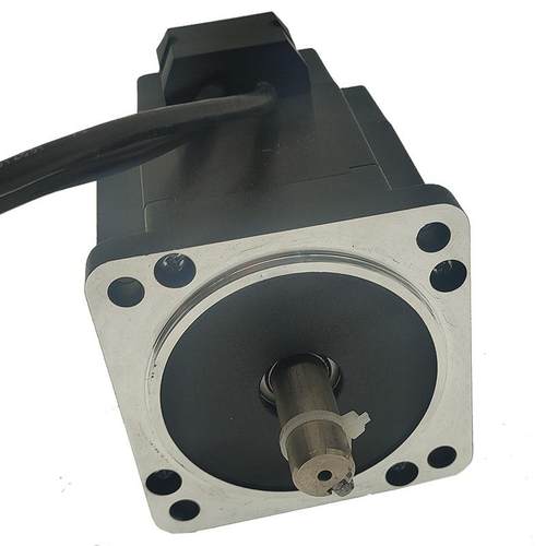 鲁蓝玖48V 无刷马达300W 500W 600W 700W 3000RPM直流无刷电机 - 图0