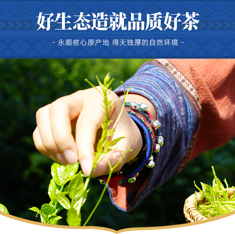莓茶永顺官方旗舰店美丽张家界特级野生芽尖湖南湘西特产养生藤茶,淘宝优惠券,粉丝福利购,淘宝优惠卷