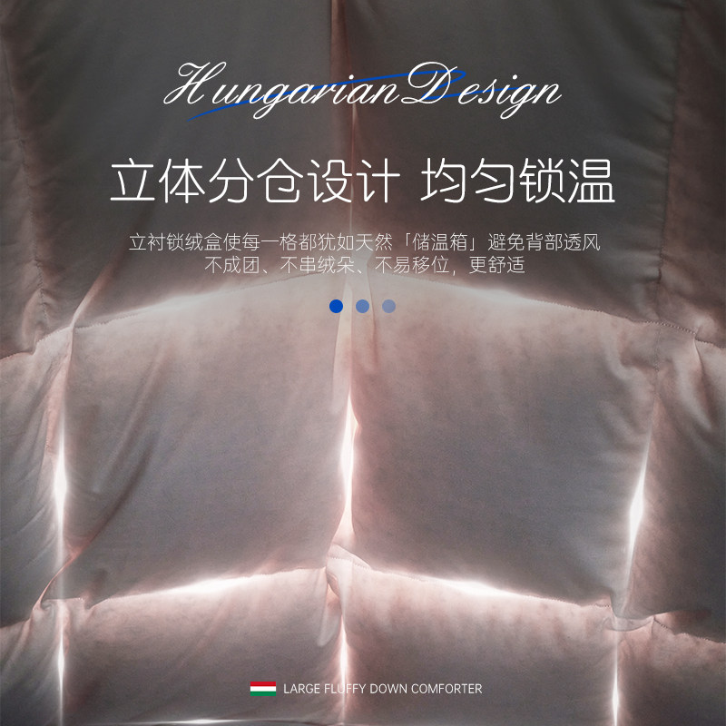 官方旗舰店正品羽绒被95白鹅绒五星级酒店抗菌保暖冬季加厚被芯,淘宝优惠券,粉丝福利购,淘宝优惠卷