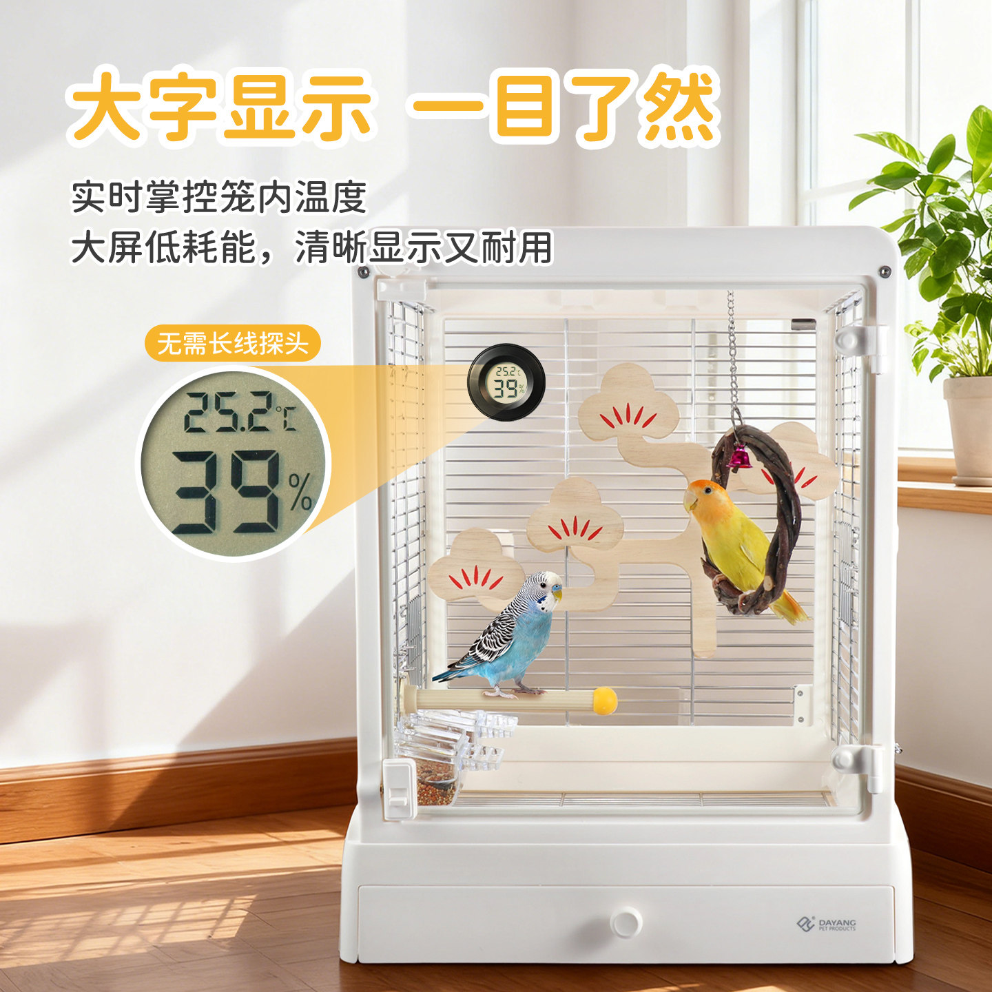 图5