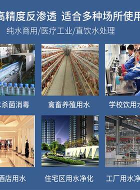 化妆品净水器用水处理设备净化水EDI超纯水制取二级RO反渗透