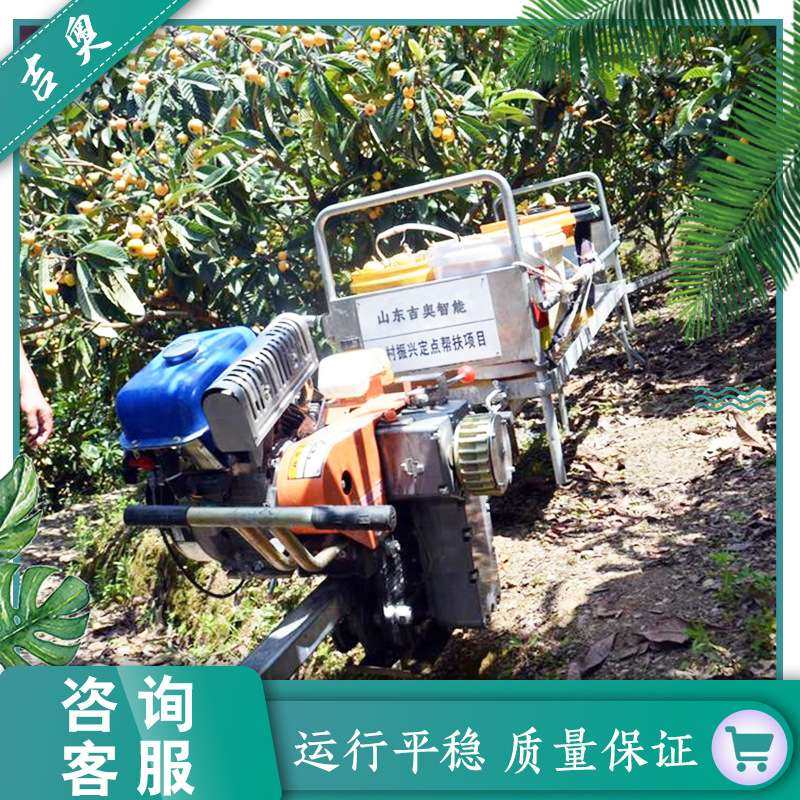 供应运输机 山地果园单轨运输机 自走式汽油动力轨道运输搬运车,淘宝优惠券,粉丝福利购,淘宝优惠卷