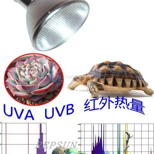 全光谱金卤灯UVB用变压器/HID整流器35W50W70W100W150W电子镇流器 - 图0