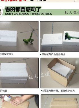 树脂创意骑摩托青蛙摆件现代机车女孩节操蛙饰品卡通新奇生日礼物