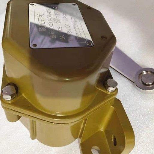 全新现货 DQX1-GL DQX1-GL1/2 DQX1-GL2/5 DQX1-GL2/3限位开关,淘宝优惠券,粉丝福利购,淘宝优惠卷