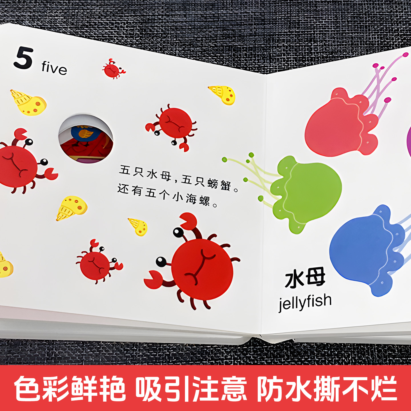 好玩的认知洞洞书 全8册 认知洞洞书婴儿早教书籍宝宝撕不烂认知绘本0-1-2岁适合幼儿看的书两岁儿童书本6个月婴幼儿启蒙图书