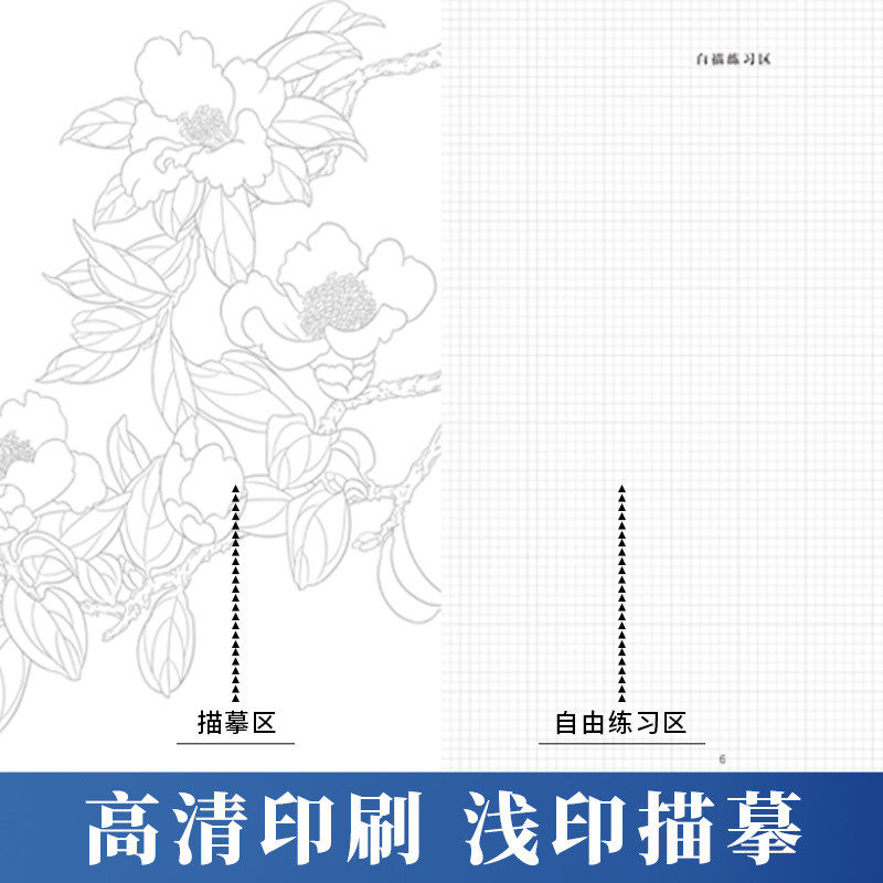 中国画白描描摹本 零基础 学国画 花卉 山水 动物 人物 四大主题