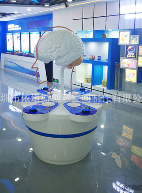 依塔斯玻璃钢人体内脏器官心脏解剖专业模型大脑演示中式风格雕塑