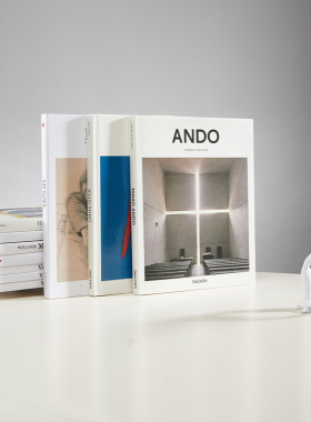 精装封套可翻页书柜玄关t家具样板房间酒店装饰摆件真书道具艺术