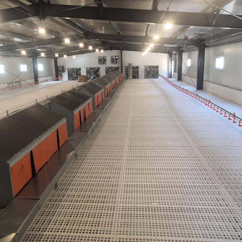 种鸡自动产蛋箱供养殖鸡场全自动产蛋流水设备链式养鸡料线设备,淘宝优惠券,粉丝福利购,淘宝优惠卷