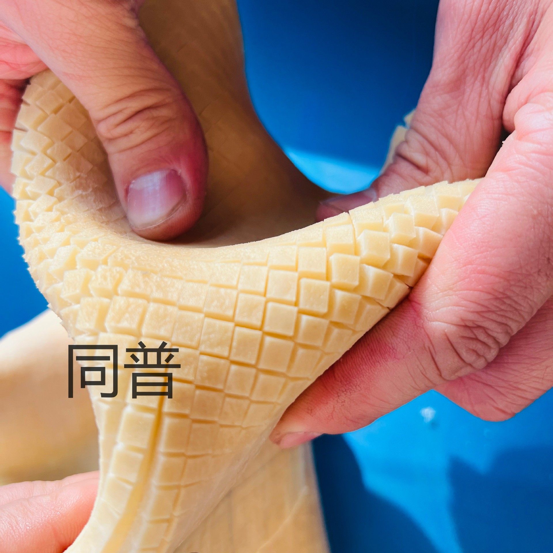 多功能单刀组切花机 鱼类鱿鱼切花设备 鸡腿花刀机厂家,淘宝优惠券,粉丝福利购,淘宝优惠卷