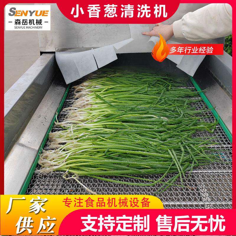 商用全自动小香葱清洗机芹菜高压喷淋洗菜机韭菜大姜清洗机去泥沙 - 图0