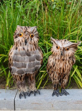 仿真猫头鹰动物模型吓鸟工具真羽毛鸟类饰品摆件庭院超市森林道具