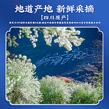 希臣！破壁灵芝孢子粉礼盒装2g&times;30袋[72元优惠券]-寻折猪