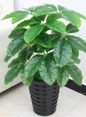 彷真植物当头鸿运客厅摆件落地假花摆设小红掌R盆栽装饰彷真花盆
