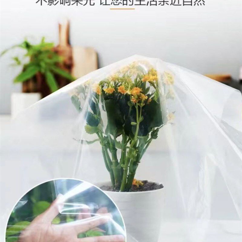Environmentally friendly transparent thickened L plastic sheet waterproof, windproof and cold-proof agricultural film for shed