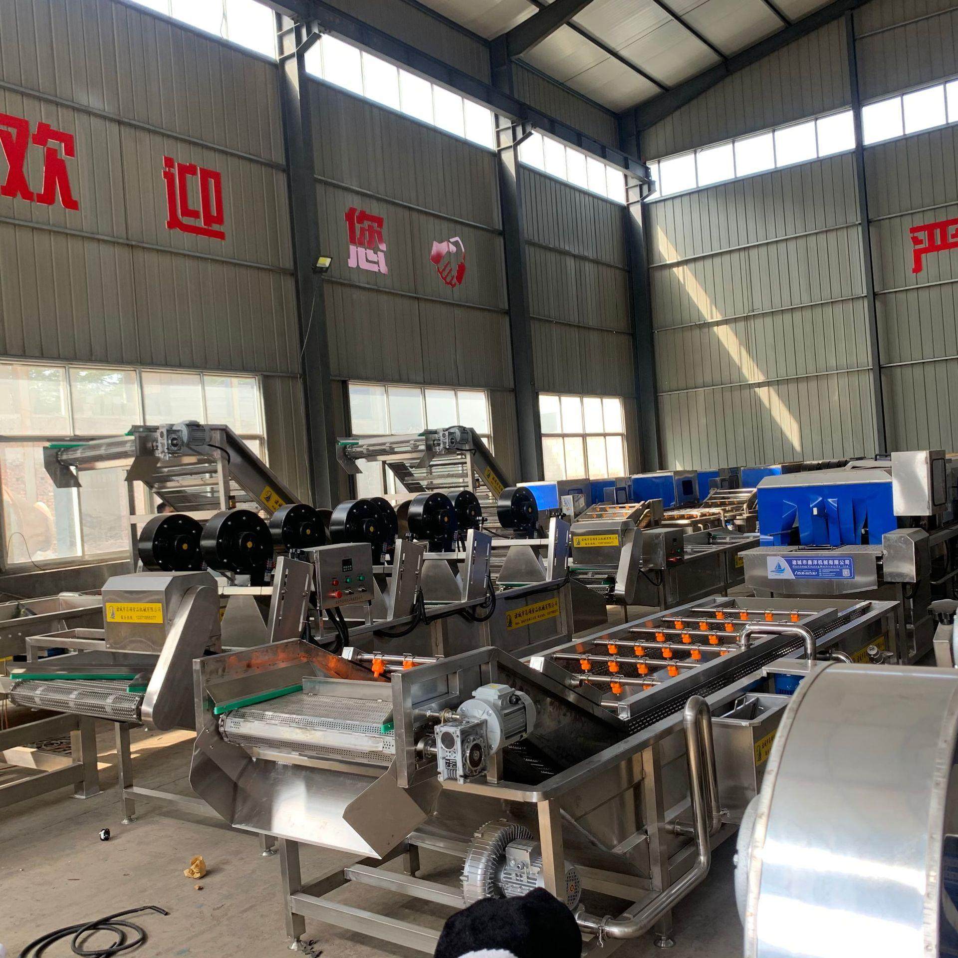 粽叶清洗线预制菜草莓气泡清洗机不锈钢材质喷淋加热式清洗设备,淘宝优惠券,粉丝福利购,淘宝优惠卷