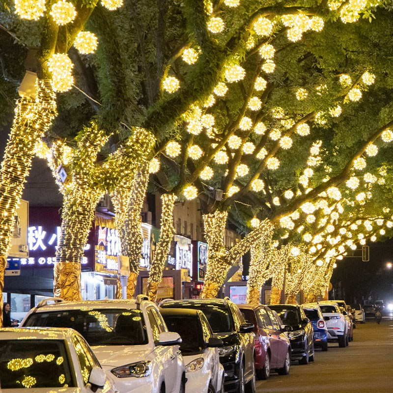 户外防水超亮加粗灌胶灯串闪灯串灯街道绕树亮化彩灯串led装饰灯 - 图2