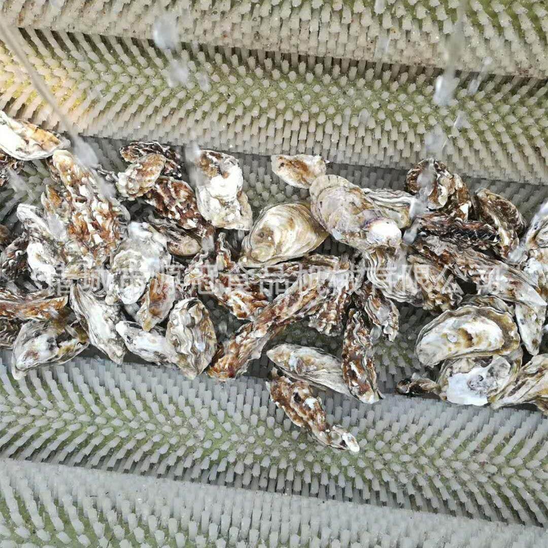厂家供应毛辊清洗机 马铃薯清洗去皮设备 猪蹄牡蛎清洗机 去杂机,淘宝优惠券,粉丝福利购,淘宝优惠卷