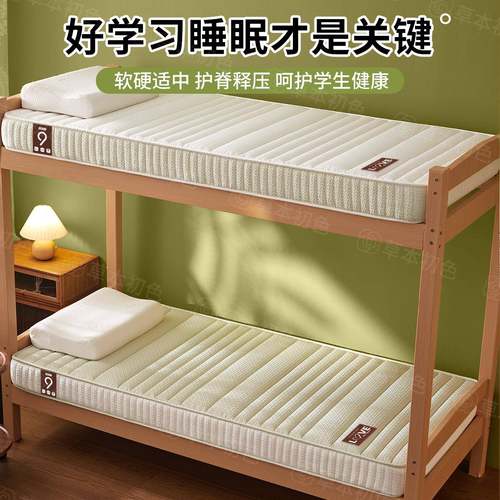 2胶025新款学生乳床DZF5520垫租软垫房宿单舍双人寝室加厚床褥垫 - 图0