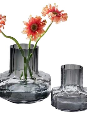 【彤昇源】玻璃水培花瓶透明玻璃花瓶 现代简约家居装饰品礼品