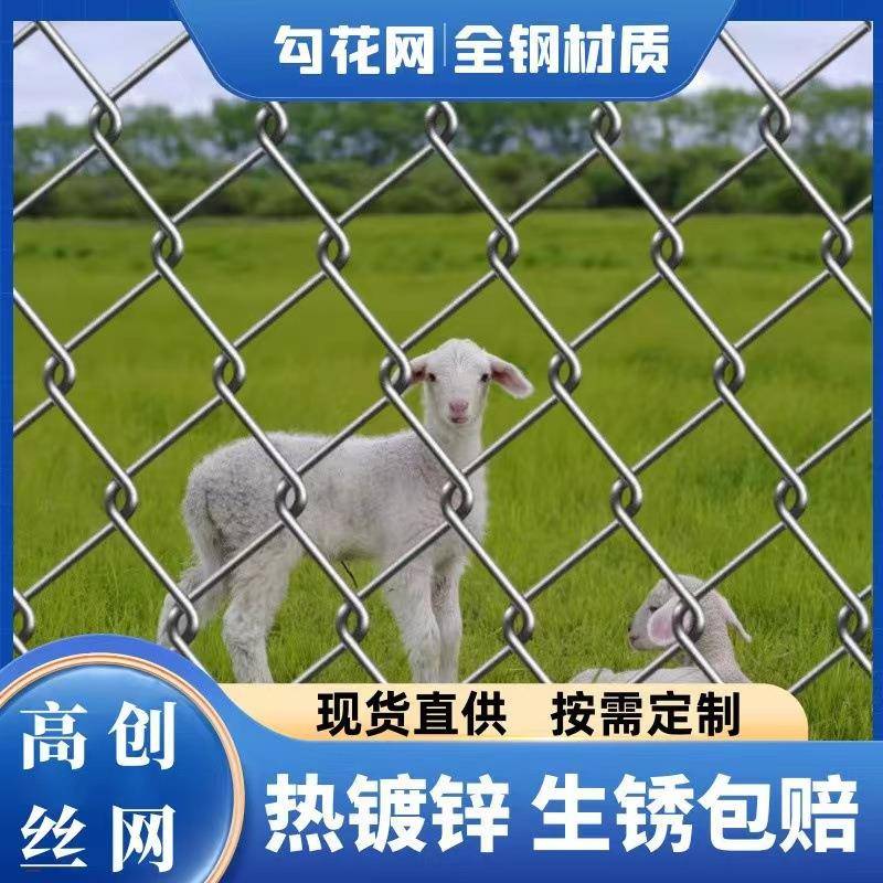钢丝网铁丝网果勾花网网养鸡网牛羊殖围栏OSF网格镀养锌园防锈 - 图2
