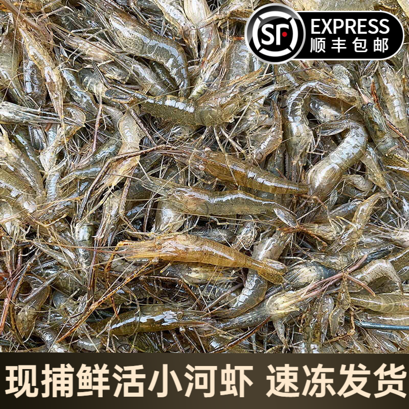 Fresh quick-frozen freshwater river shrimp commercial seafood aquatic products