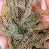 Fresh quick-frozen freshwater river shrimp commercial seafood aquatic products