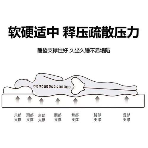 A类凉豆豆四季床垫榻榻米地垫午睡垫炕上专用垫卧室打地铺睡觉垫 - 图0