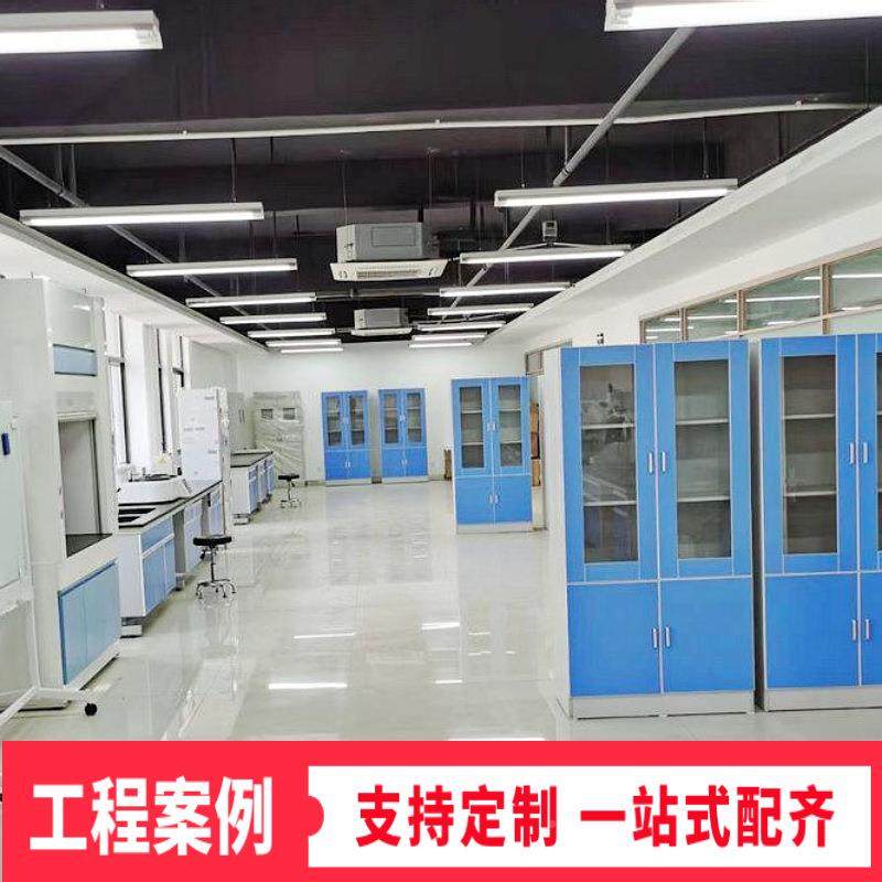 PP药品柜全钢器皿柜层板耐腐蚀样PP资料双锁器品皿文件PP药品柜柜,淘宝优惠券,粉丝福利购,淘宝优惠卷