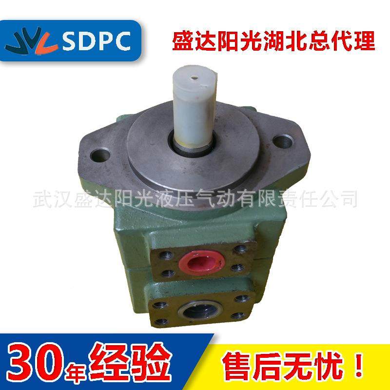 无锡广叶PV2R1-19东定量片泵PV2R1-19PV2R1-23/25油泵低噪音现货,淘宝优惠券,粉丝福利购,淘宝优惠卷
