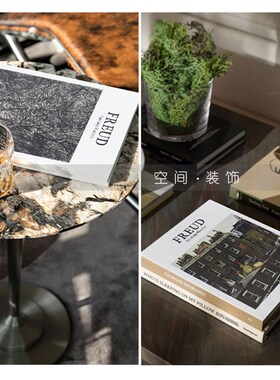 现代简约样板间装饰真书FREUD艺术画I册书房书柜摆件摄影仿真道具