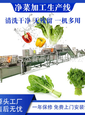供应净菜加工流水线中央厨房果蔬加工设备菠菜白菜清洗生产线