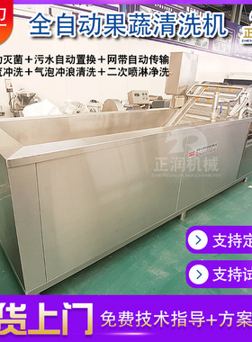 销售紫叶角清洗机商用去农残果蔬清洗机全自动包菜清洗设备