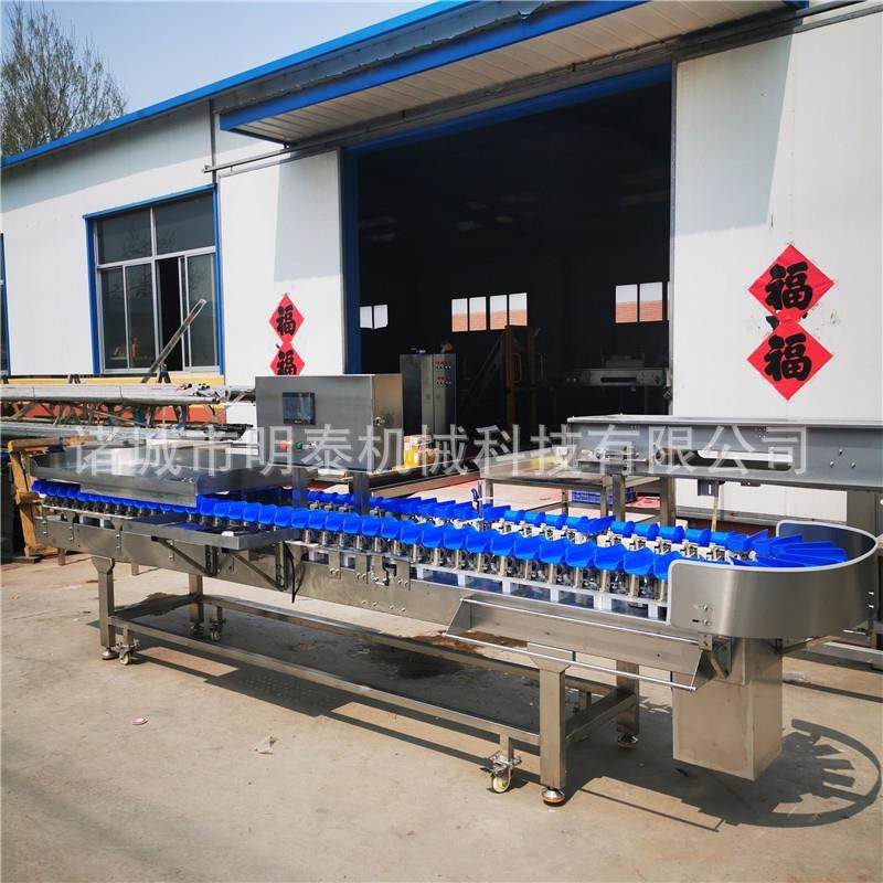 全自动料重量分选机螃蟹大虾生蚝海鲜分级机红薯南瓜火龙果分选机,淘宝优惠券,粉丝福利购,淘宝优惠卷