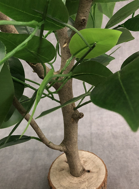 仿真新款a绿色盆栽假绿植桌面摆件人造植物装饰婚庆花艺软装小榕